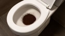Tirar café usado en el inodoro | Para qué sirve y por qué lo recomiendan